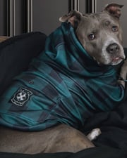 Dog Hoodie - Evergreen