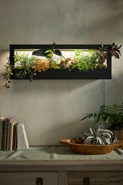 Modern Sprout Growframe Grow Light + Planter