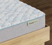 BeautySleep® Firm Mattress (13"h)