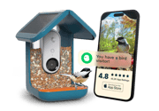 Smart Bird Feeder with Solar Roof