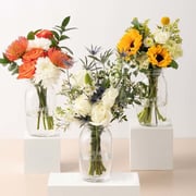 3 Month Subscription: Farmer’s Market