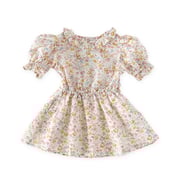 Ruffle Puff Sleeve Dress