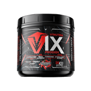 V1X PRODIGY