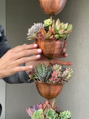 Copper Rain Chain Planted With Succulents
