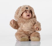 Baby Labradoodle Dog Halloween Costume