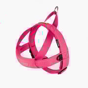 Quick Fit™ Dog Harness
