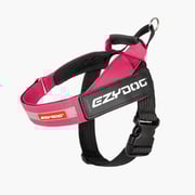 Express™ Dog Harness
