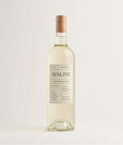 Sauvignon Blanc