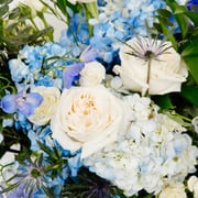 Hydrangea Hues DIY Flower Kit