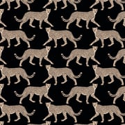 Walking Cheetahs 9
