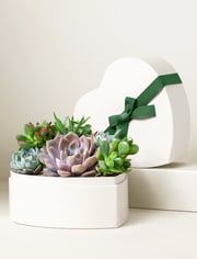 Mother's Day Heart Garden