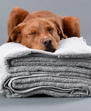 100% Organic Cotton Bath Towels Collection Bulk Bundles