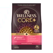 Wellness CORE+ Sensitive Skin & Stomach Adult Dry Dog Food - Salmon & Rice