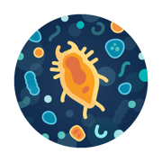 Total Microbiology Water Test