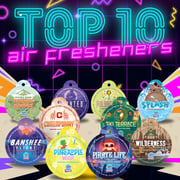 Top 10 Air Fresheners