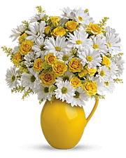 Teleflora's Sunny Day Pitcher of Daisies