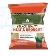 Black Beauty Heat & Drought Resistant Grass Seed | Jonathan Green