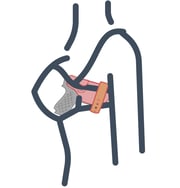 Marilyn Holster