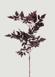 Plum Fake Cimicifuga Ramosa Leaves - 31"