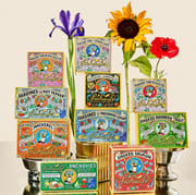 12 Tins Bundle