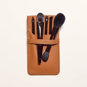 The Power of Brushes On The Go Set