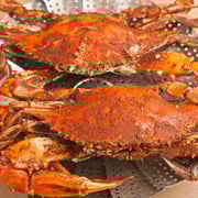 Obrycki’s Maryland Steamed Crab Kit