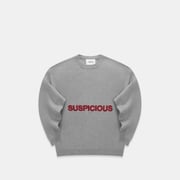 EoS / Suspicious Cotton Knit - Grey