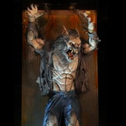 Scare Wolf