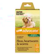 Advocate For Dogs