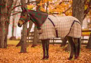 5/A Baker Original Stable Sheet