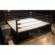 Wrestling Ring Package