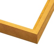 Small Gold Leaf Canvas Floater Frame