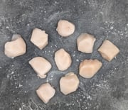 Colossal Boston Dry Scallops | U-8