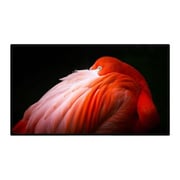 Apple 32" Pro Display XDR with Standard Glass
