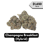 Natural THC-A Flower (Hybrid ~ Champagne Breakfast)