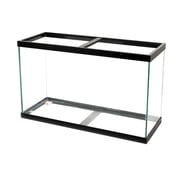 Aqueon Standard Glass Rectangle Aquarium Silicone Black 65 SD-3