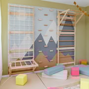 Wall Bars Gym