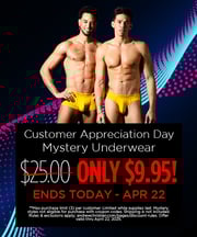 DOORBUSTER! $5 Mystery Briefs (max purchase limit (3) per customer)