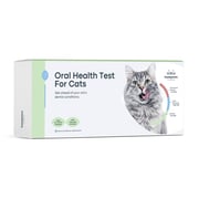 Oral Health Test for Cats
