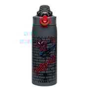 Sage Insulated Bottle, 19 oz.