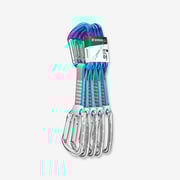 Carabiners and Quickdraws