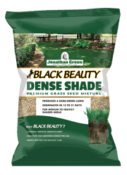 Black Beauty® Dense Shade Grass Seed