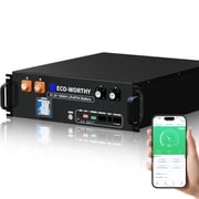 ECO-WORTHY 48V(51.2V) 100Ah LiFePO4 Server Rack Battery,3U Size With Bluetooth & Wifi(V3)