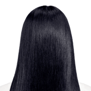 Perugia Black - Sapphire black hair color with hints of blue.
