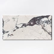 Calacatta Viola Honed  Marble Tile 12x24