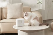 Pet Water Fountain