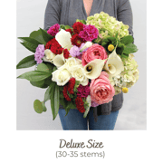 The Designer Collection