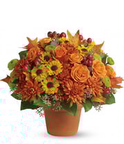 Sugar Maples Mixed Bouquet at Send Flowers