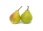 Warren Pear Tree