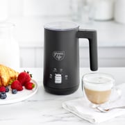 Instant Milk Frother
